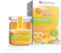 Forte Pharma Propolis Intense Gelée Pot/40g à PORT-DE-BOUC