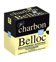 Charbon De Belloc 125 Mg Caps Molle B/60 à PORT-DE-BOUC